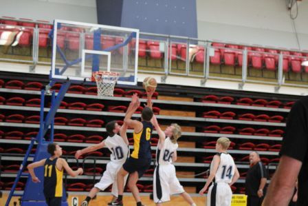 basket